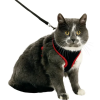 1031364-d-01.png HARNAIS AVEC LAISSE HARMS NOIR & ROUGE taille M