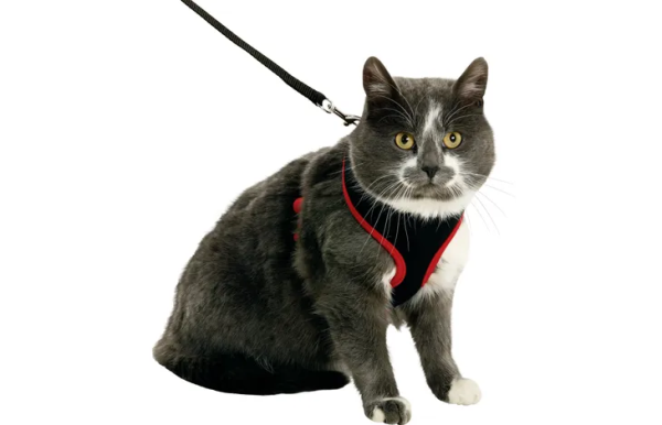 1031364-d-01.png HARNAIS AVEC LAISSE HARMS NOIR & ROUGE taille M