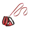 1031372-e-01.png HARNAIS AVEC LAISSE Taille S pour chaton
