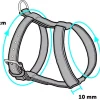 1031372-t-01.png HARNAIS AVEC LAISSE Taille S pour chaton