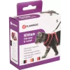 1031372-v-01.png HARNAIS AVEC LAISSE Taille S pour chaton