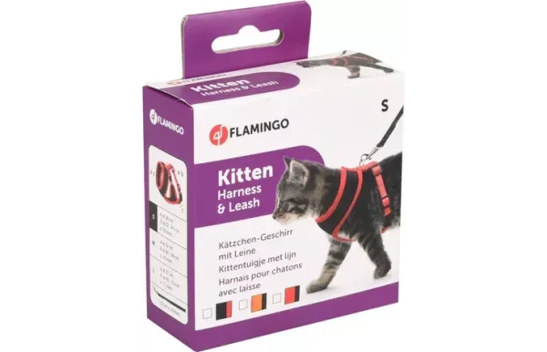 1031372-v-01.png HARNAIS AVEC LAISSE Taille S pour chaton