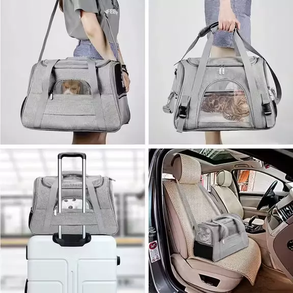 1064671-47cde8964accf3.jpeg Paws & Son - Étui de transport pour chats