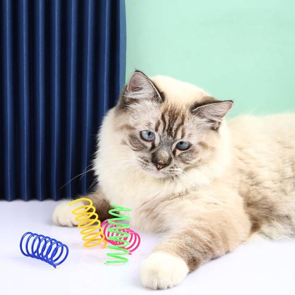1670742863370-06682c359bcf4d58adb21ad5159b8a97-goods.jpeg Jouet ressort pour chat