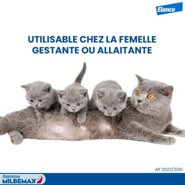 MilbemaxTab Chats à partir de 2kg - 2 Comprimés