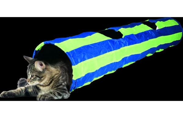 33162-a-01.png JOUET FELINE TUNNEL AVEC BALLE BLEU & VERT