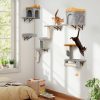 Tour pour Chat Mural Arbre à Chat avec Plate-forme à 2 Niveaux 2 Condos Confortables 1 Lit Confortable 1 Planche à Gratter