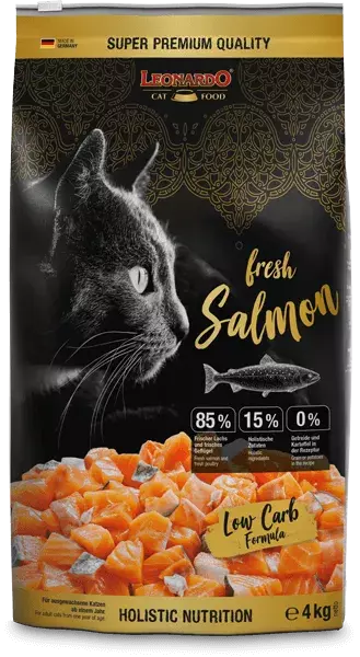 4 LEONARDO fresh Salmon