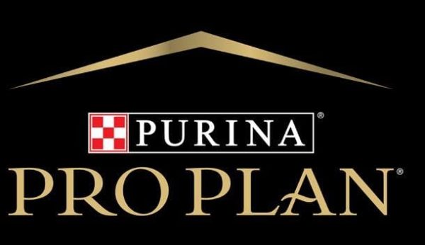 41wvqjy-jpl-ac.jpeg FORTIFLORA PROPLAN sachet de 1grs
