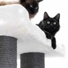 431464-ragdoll-200-12-1-1-375x500-1.jpeg PETREBELS Siberian 200 Blanc cassé