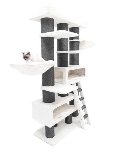 435259-siberian-200-7-kat-375x500-1.jpeg PETREBELS Siberian 200 Blanc cassé