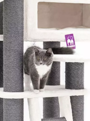 435992-estate-170-off-white-16-375x500.jpeg Arbre à chat Estate 170 PETREBELS