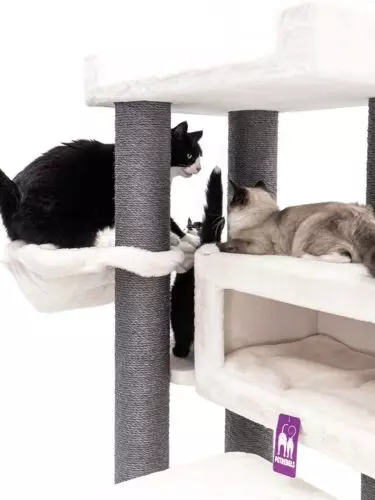 435992-estate-170-off-white-7-375x500.jpeg Arbre à chat Estate 170 PETREBELS