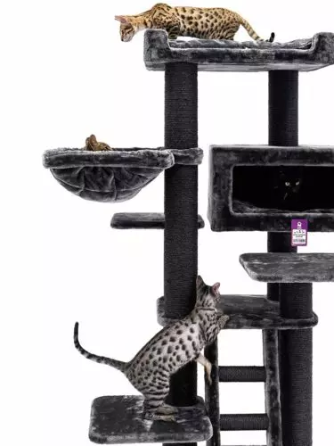435993-estate-170-pepper-10-375x500.jpeg Arbre à chat Estate 170 PETREBELS