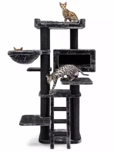 435993-estate-170-pepper-4-375x500.jpeg Arbre à chat Estate 170 PETREBELS