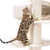 PETREBELS Arbre à chat Drive 195