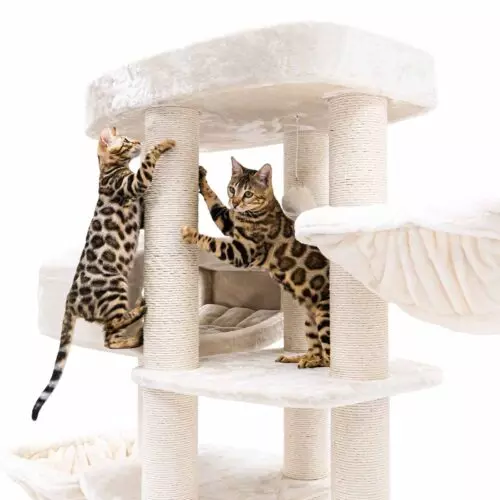 PETREBELS Arbre à chat Drive 195