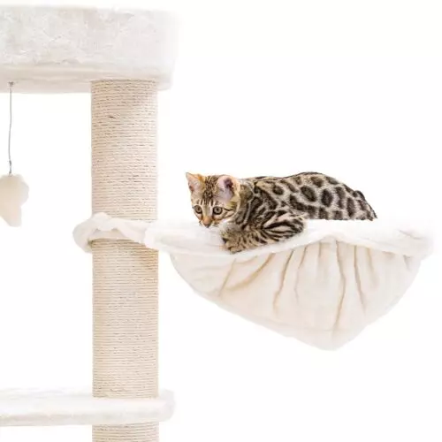 PETREBELS Arbre à chat Drive 195