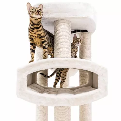 PETREBELS Arbre à chat Drive 195