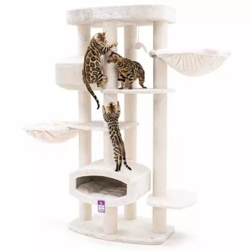 PETREBELS Arbre à chat Drive 195