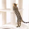 PETREBELS Arbre à chat Drive 195