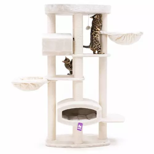PETREBELS Arbre à chat Drive 195