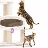 PETREBELS Arbre à chat Drive 195