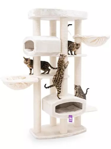 PETREBELS Arbre à chat Drive 195