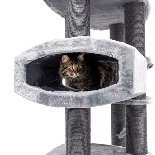 PETREBELS Arbre à chat Drive 195