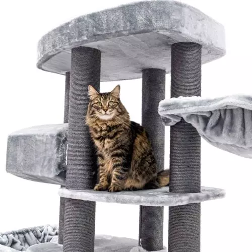 PETREBELS Arbre à chat Drive 195