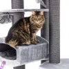 PETREBELS Arbre à chat Drive 195