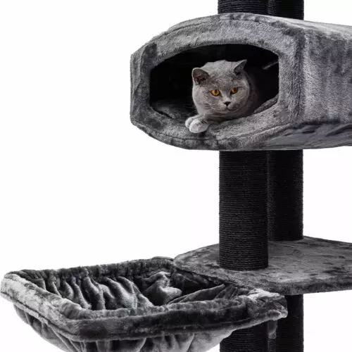 PETREBELS Arbre à chat Drive 195