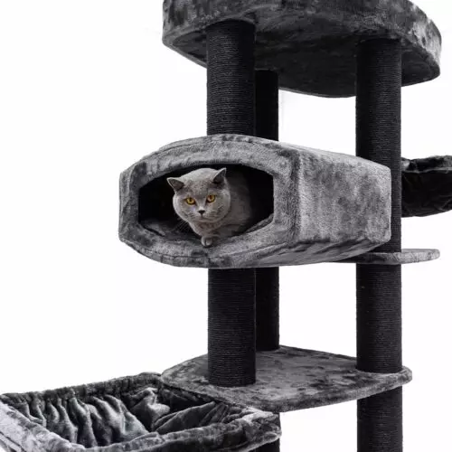 PETREBELS Arbre à chat Drive 195