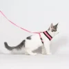 561595-s-01.png HARNAIS AVEC LAISSE Taille S pour chaton