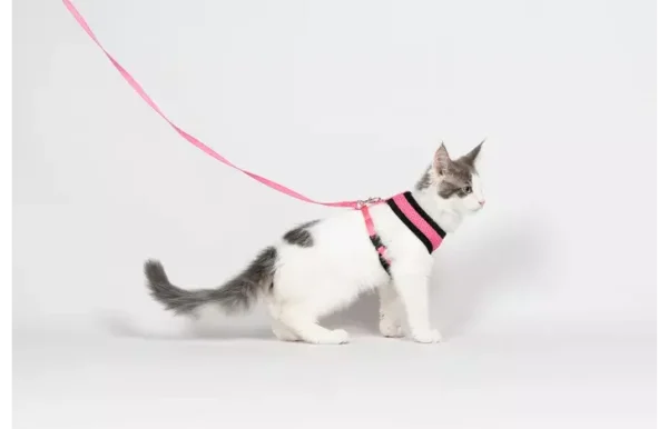 561595-s-01.png HARNAIS AVEC LAISSE Taille S pour chaton