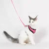 561595-s-02.png HARNAIS AVEC LAISSE Taille S pour chaton