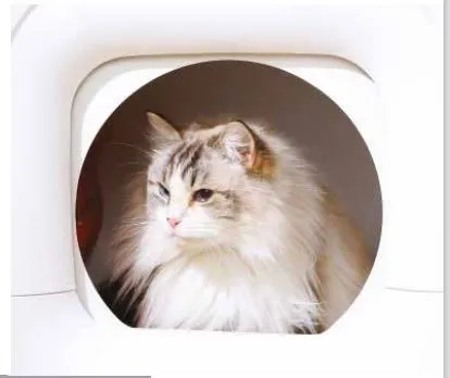 5i7u2mbeojo05vbbsjvu.png MPETS | Maison De Toilette Automatique M600 Smarto Wifi