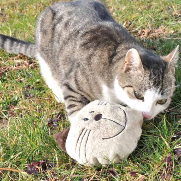 612900-aum-ller-baldi-willy-katzenspielkissen-cr-me-1000x1000-hs-03-9.png Coussin de jeu pour chat Baldi Willy