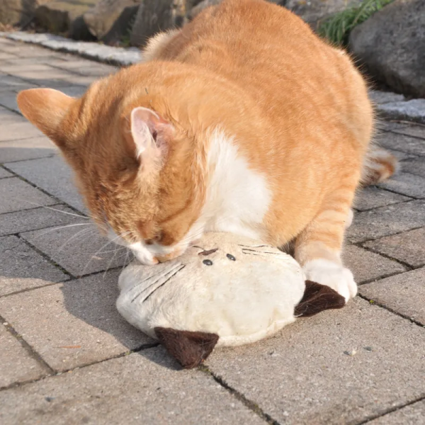 612900-aum-ller-baldi-willy-katzenspielkissen-cr-me-1000x1000-hs-04-7.png Coussin de jeu pour chat Baldi Willy