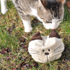 612900-aum-ller-baldi-willy-katzenspielkissen-cr-me-1000x1000-hs-05-2.png Coussin de jeu pour chat Baldi Willy