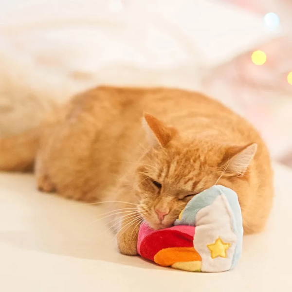 72915-aumueller-katzenspielzeug-regenbogenherz-hs-image-magicrainbowherz-03-1.png Jouet Aumüller Cœur arc-en-ciel pour chat