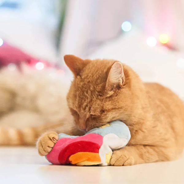 72915-aumueller-katzenspielzeug-regenbogenherz-hs-image-magicrainbowherz-04-0.png Jouet Aumüller Cœur arc-en-ciel pour chat