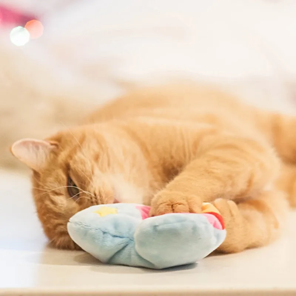 72915-aumueller-katzenspielzeug-regenbogenherz-hs-image-magicrainbowherz-05-0.png Jouet Aumüller Cœur arc-en-ciel pour chat