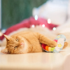 72915-aumueller-katzenspielzeug-regenbogenherz-hs-image-magicrainbowherz-08-7.png Jouet Aumüller Cœur arc-en-ciel pour chat