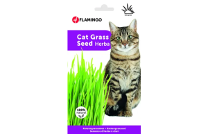 Herbe à chat