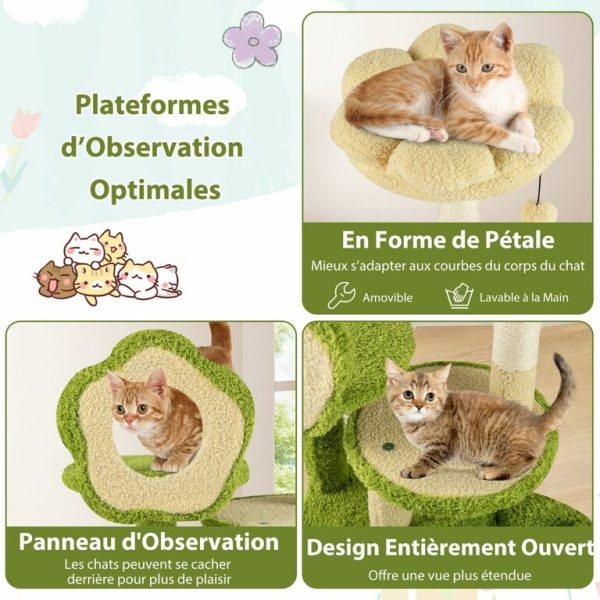 Arbre à Chat FOREST