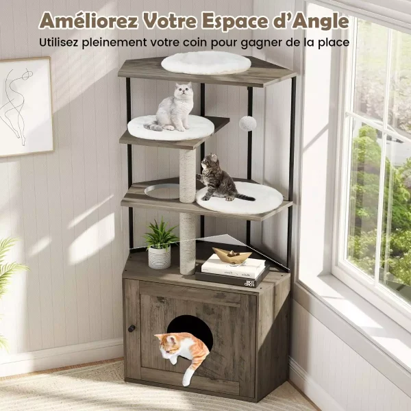Le Manoir d’Angle Félin