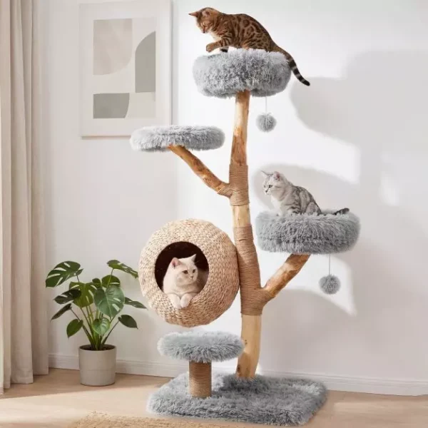 arbre-a-chat-en-bois-massif-poirier-137-cm-tour-pour-chat-5-niveaux-niche-tress-e-coussins-doux-amov-mediaid105150859-1783395923.jpeg Arbre à chat Le Verger