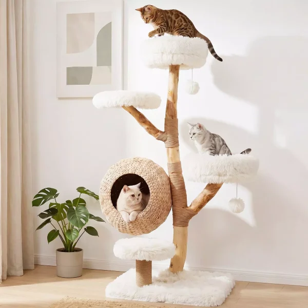 arbre-a-chat-en-bois-massif-poirier-137-cm-tour-pour-chat-5-niveaux-niche-tress-e-coussins-doux-amov-mediaid105151231-1783395990.jpeg Arbre à chat Le Verger