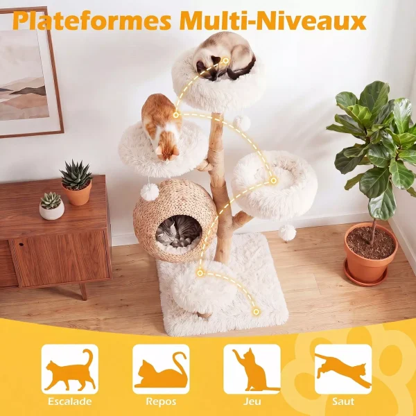 arbre-a-chat-en-bois-massif-poirier-137-cm-tour-pour-chat-5-niveaux-niche-tress-e-coussins-doux-amov-mediaid105151243-1783395993.jpeg Arbre à chat Le Verger